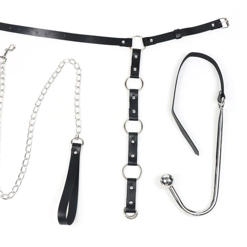 Hook 5853 and Collar Anal Kinky with EverydayUse Leash 1214